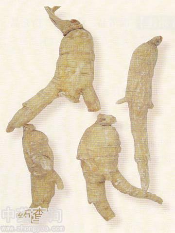 (Ʒ)